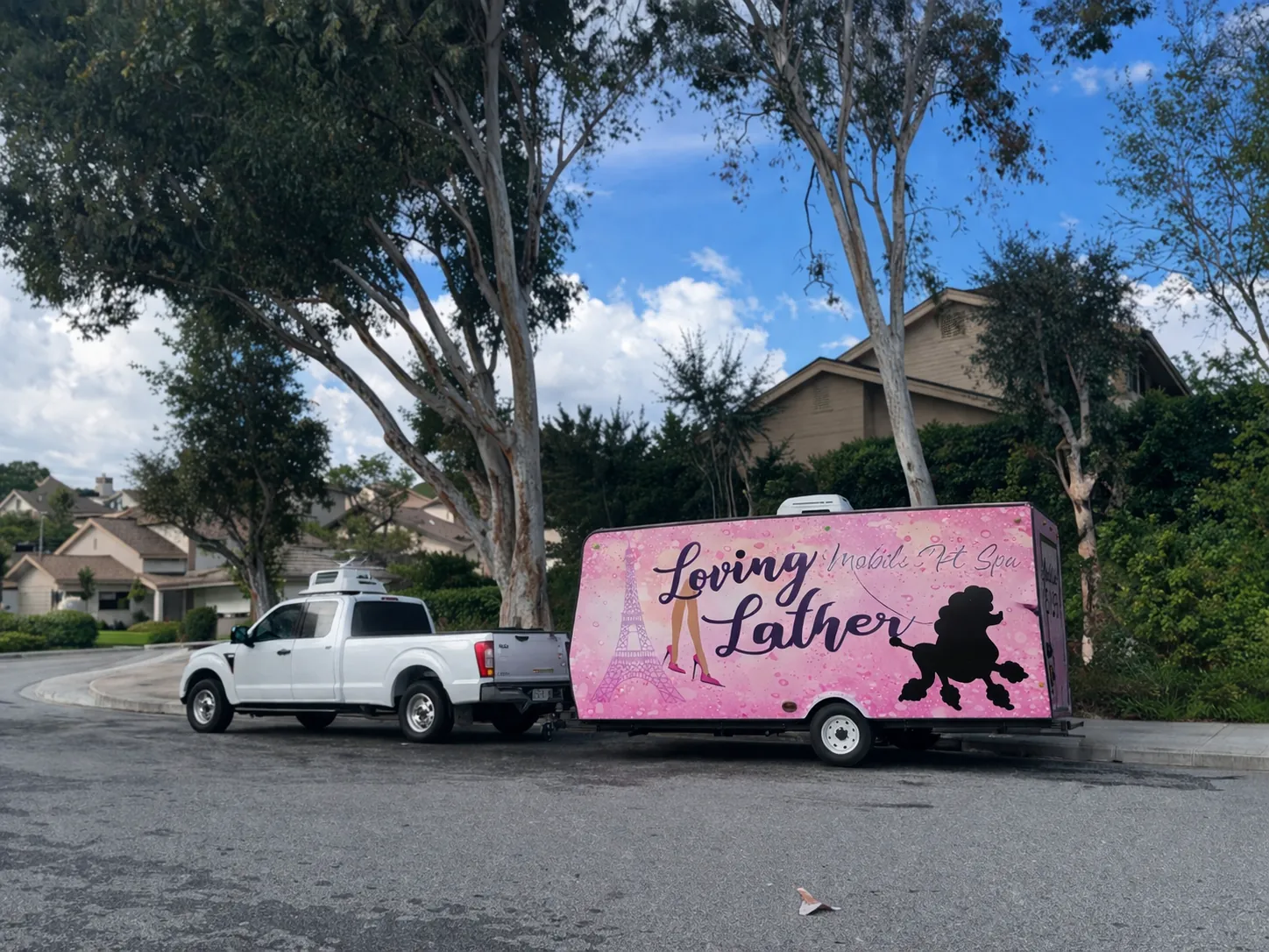 Mobile pet grooming by Loving Lather in Chino Hills